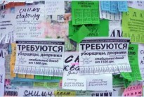 За рекламу на столбах и деревьях в Киеве штрафуют на 1700 грн.
