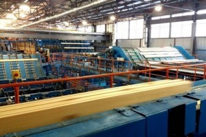 В Ровенской области заработал новый деревообрабатывающий завод (фото)