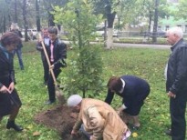 Закарпатские дубы будут расти в киевском Парке партизанской славы