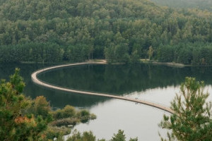 У Бельгії збудували міст за послідовністю Фібоначчі: як він виглядає (ФОТО)