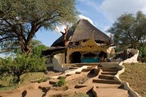 Невероятный домик выходного дня с чудаковатой архитектурой в сердце африканского заповедника (Фото)