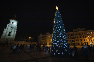 Де і за чий кошт встановлять головну ялинку країни
