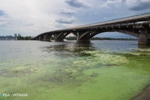 Почему Днепр зеленеет летом, чем это опасно и как остановить