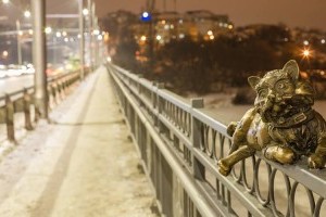 Коты, голуби и утки: винницкий мост украсили милые мини-скульптуры (ФОТО)