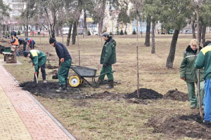 У Дніпровському районі столиці зацвітуть сакури (фото)