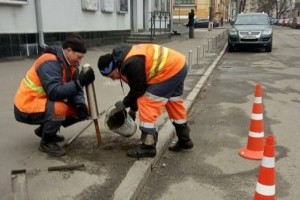 Водіям, які паркуються абиде, в столиці "вставляють палки в колеса" (фото)