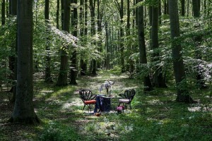 В Швеции откроют ресторан «Нигде» со столиками посреди леса и поля (ФОТО)