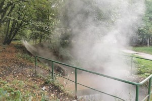 "Плановий злив води з теплотраси": в озеро зливають гарячу воду, в якій живцем вариться риба (ФОТО, ВІДЕО)