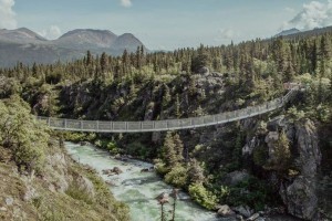 Поєднає дві вершини карпатських гір: в Угорщині збудують найдовший підвісний пішохідний міст (ФОТО)