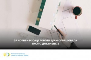 ДІАМ опрацювала тисячі документів за 4 місяці роботи - Олексій Чернишов