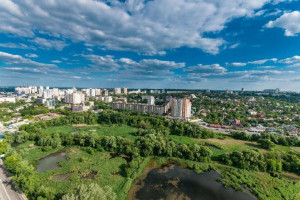 Майже 20 гектарів водойм та зеленої зони у Києві: Київзеленбуд розробить для Совських ставків проєкт землеустрою