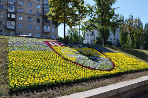 8700 квітів на честь героїчних «азовців»: у Києві з'явилось нове панно (ФОТО)