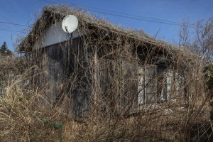 Житло в Японії можна отримати безкоштовно 