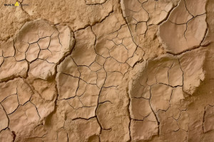 Вчені знайшли дешевий спосіб уловлювати CO2 за допомогою звичайної глини