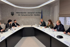 Український бізнес отримав п’ять потенційних моделей фінансової допомоги від Японії