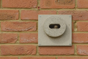 Новобудови в Шотландії зобов’яжуть облаштовувати "цеглинами для стрижів"