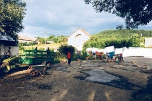 Не дочекались: на Закарпатті місцеві жителі відремонтували дорогу самотужки (фото)